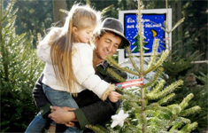 Seminar: Oh Tannenbaum, oh Tannenbaum...