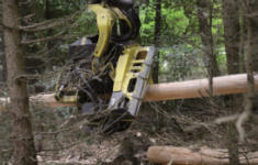 Seminar: Debarking Heads – Entrindung im Wald mit Harvester 