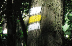 Schlusstagung der Veranstaltungsreihe „Destination WALD“