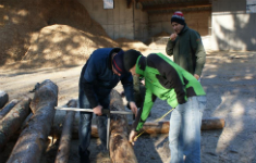 Zertifikatslehrgang: Holzausformung und Holzverkauf