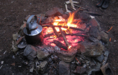 Seminar: Kochabenteuer im Wald