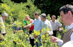 Exkursion: Laubwaldbewirtschaftung in der Praxis