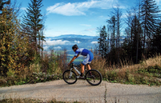 Praxisseminar: Mountainbiken im Wald