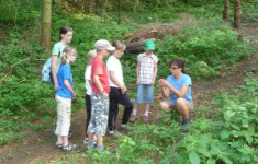 Seminar: Im Wald sind viele Worte