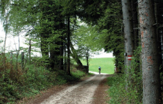 Seminar: Wegerecht und Grenzstreitigkeiten