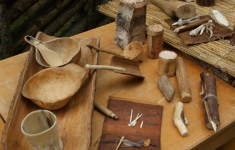 Seminar: Wilderness education für Waldpädagog/innen